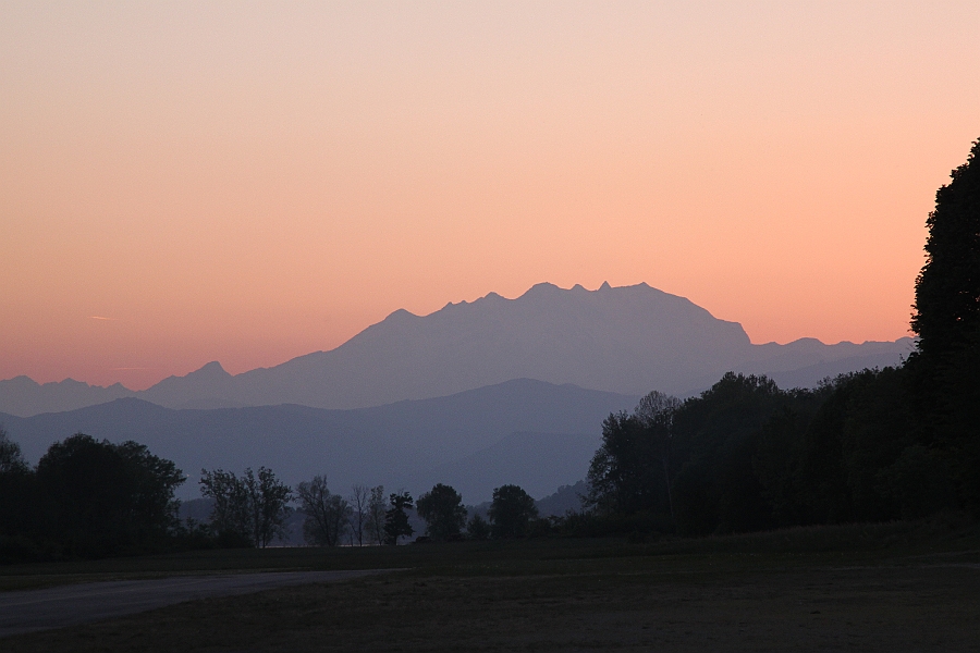 Img 239.JPG